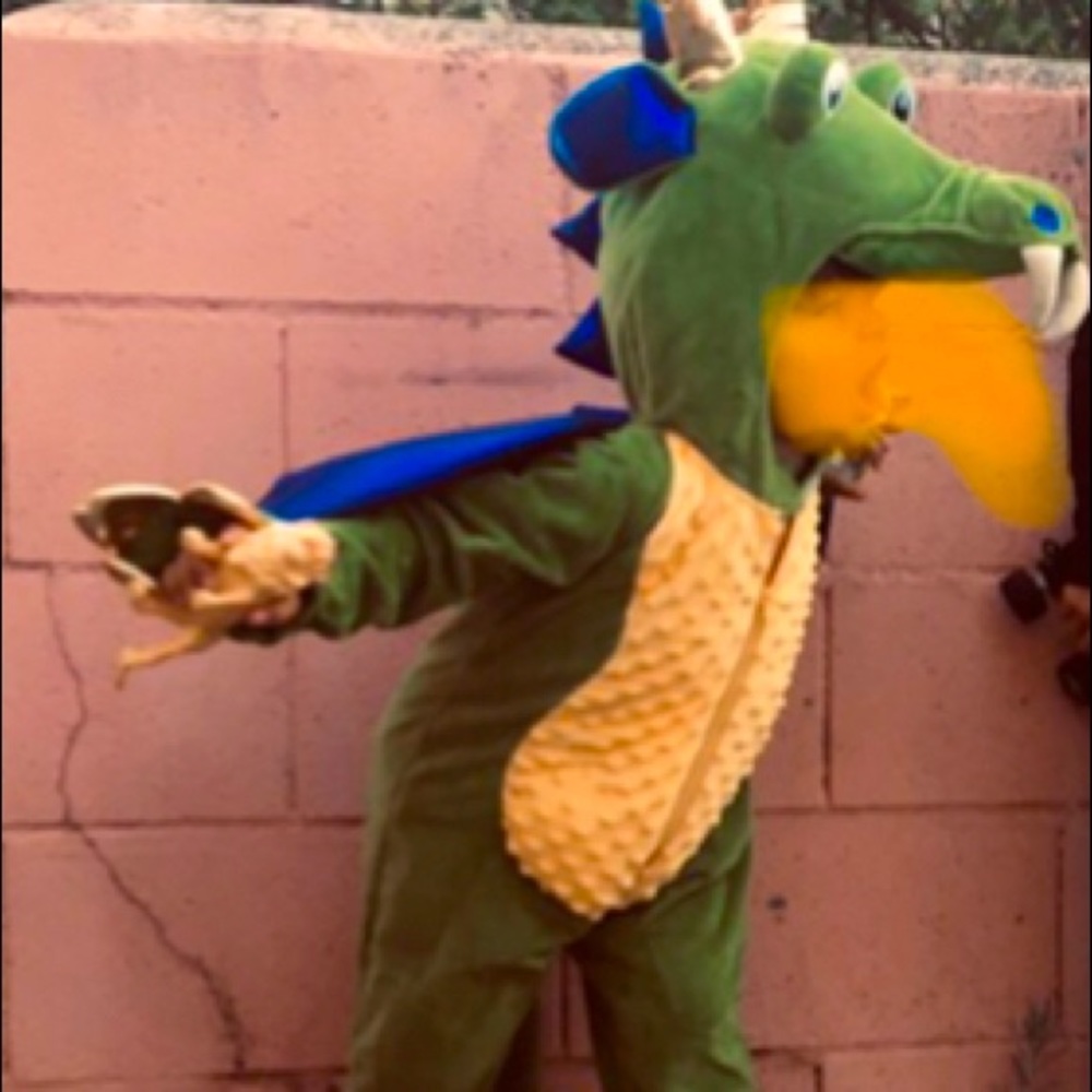 Get ready for Halloween! Green blue & gold Dragon !